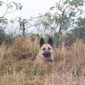 Meet your Posher, Tony